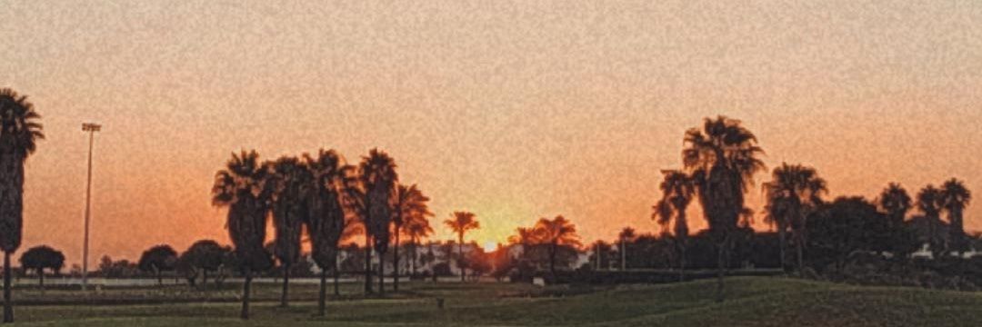mxguel_01's profile banner image