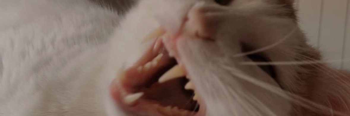 AnndreaGar98's profile banner image