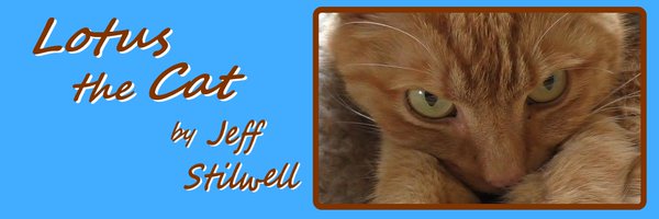 StilwellWrites Profile Banner