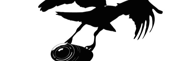CorvusPictures's profile banner image
