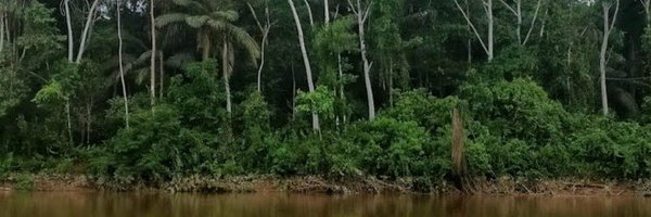 greaney3 Profile Banner