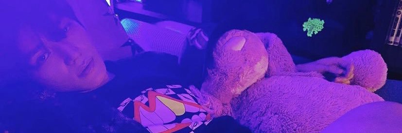 Tokki Knight🐰👑 banner