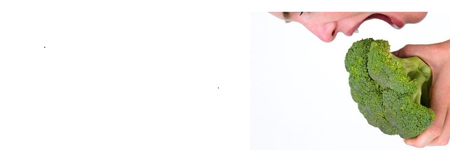 meubrocolis's profile banner image
