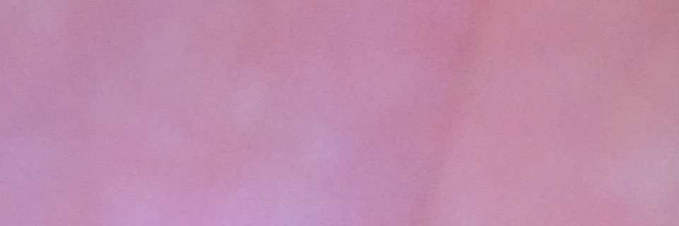 Claire Woolner banner