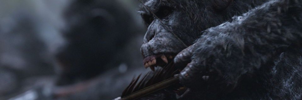 Macaco Arqueiro banner