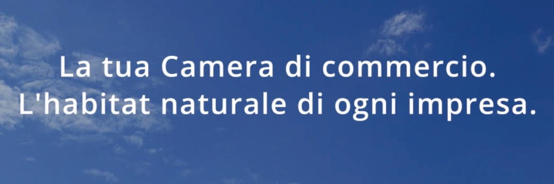 unioncamere's profile banner image