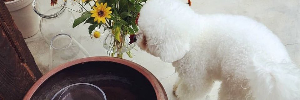 윤아스키 banner