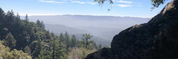 winsletts Profile Banner