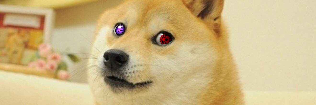 ... banner