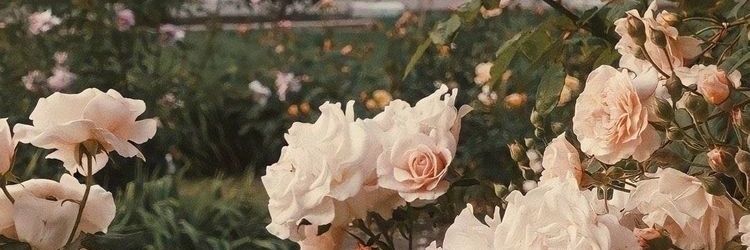 _Toxic_heart_'s profile banner image