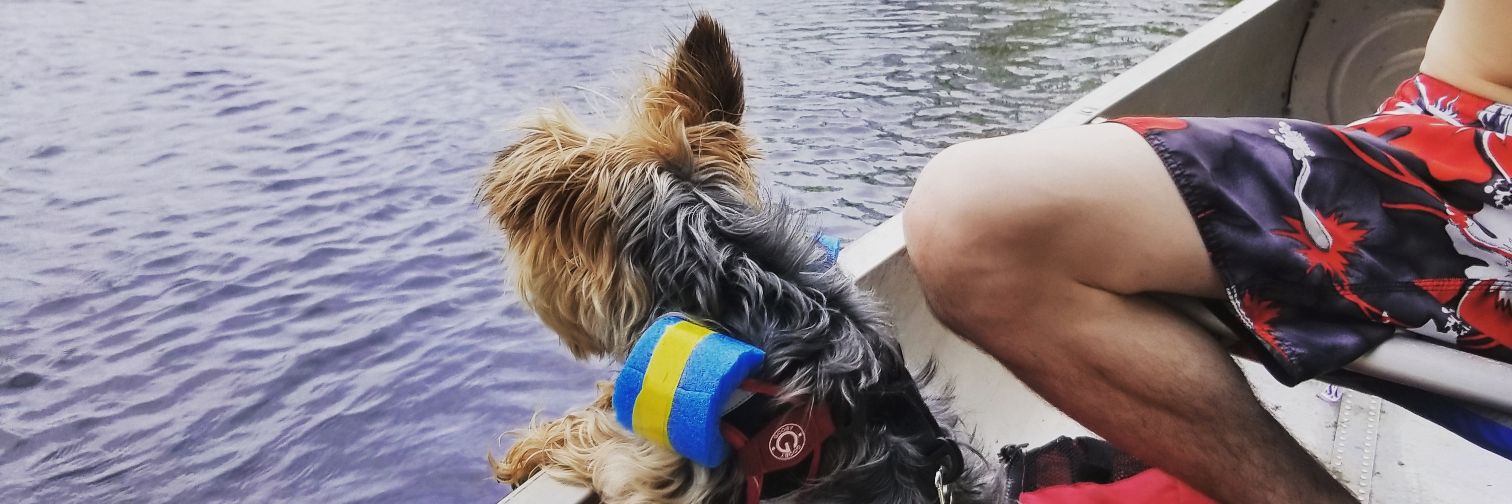 rubydickenson's profile banner image