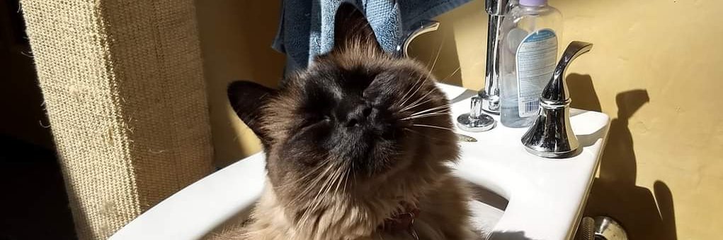 some random pharmacist 🇺🇸 🇮🇱 banner