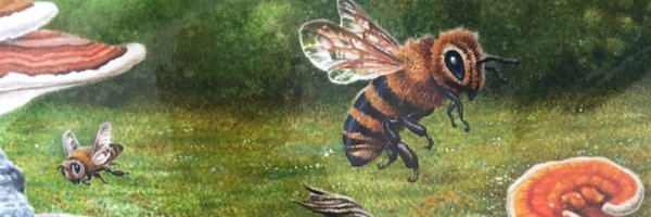 wsubeeguy Profile Banner