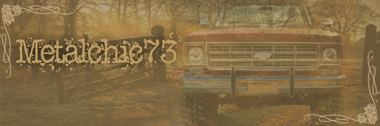 Metalchic73's profile banner image