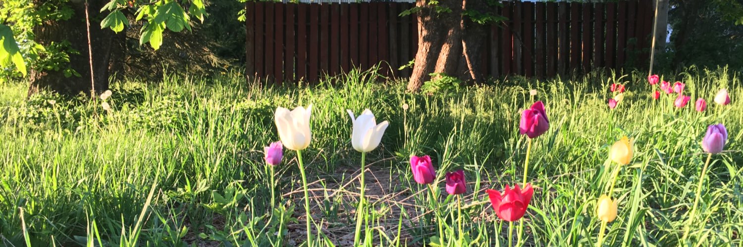 WSU Bee Research banner