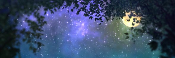 amitrazpoot's profile banner image