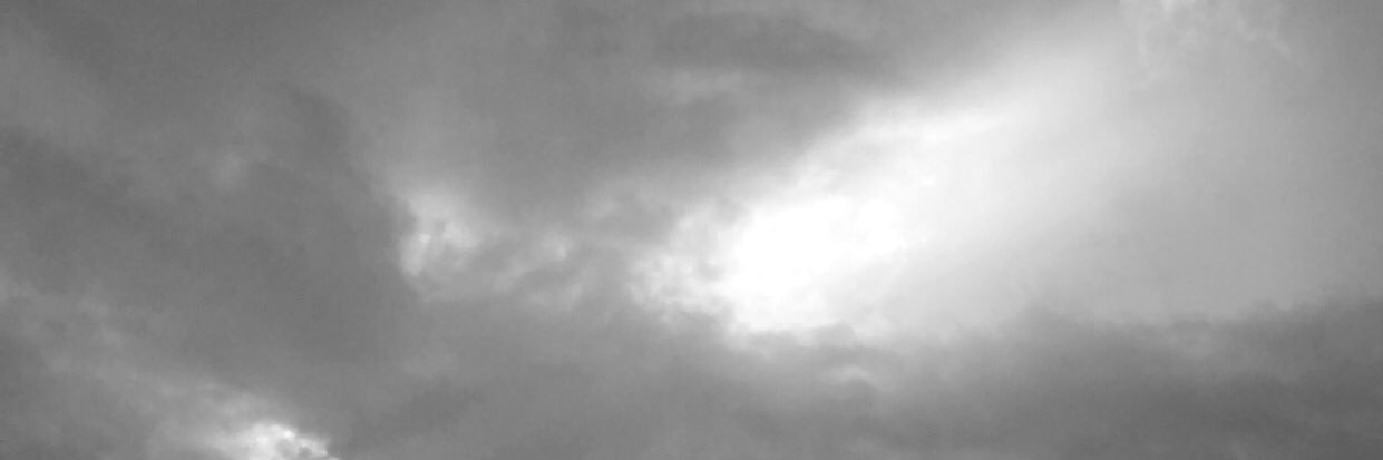 Joshua patton banner