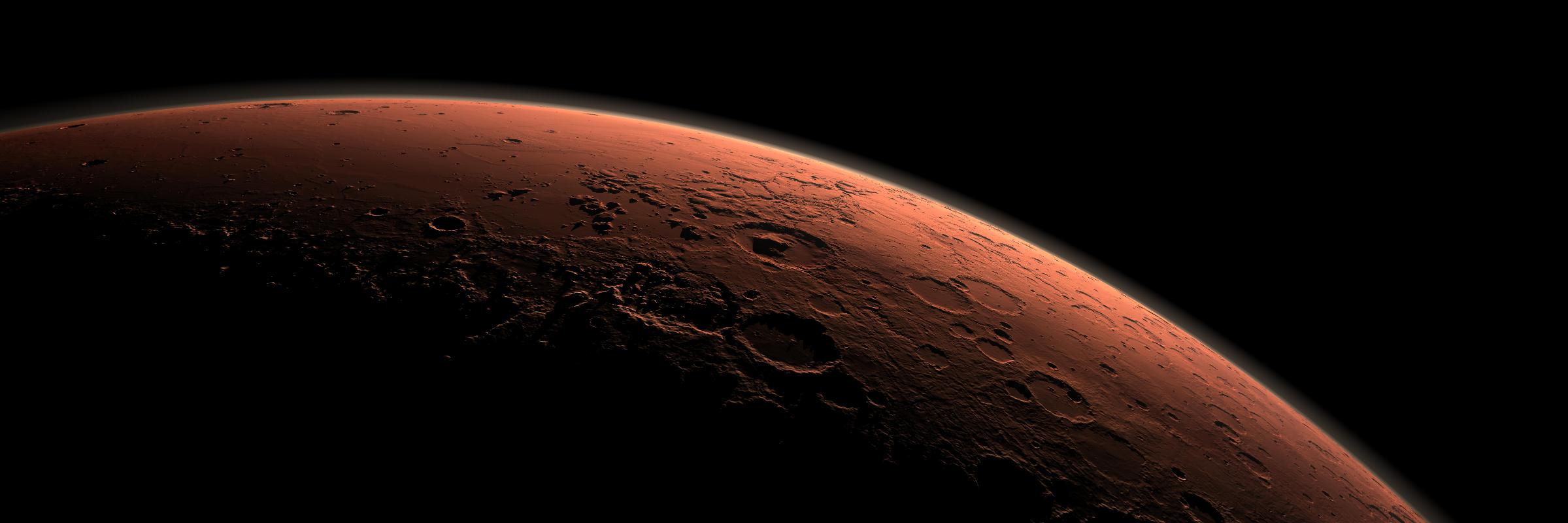 Dr Natasha Stephen banner