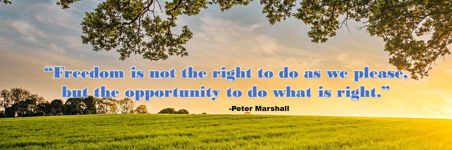 Summer Skies Foghorn Leghorn's cousin! ❌ banner