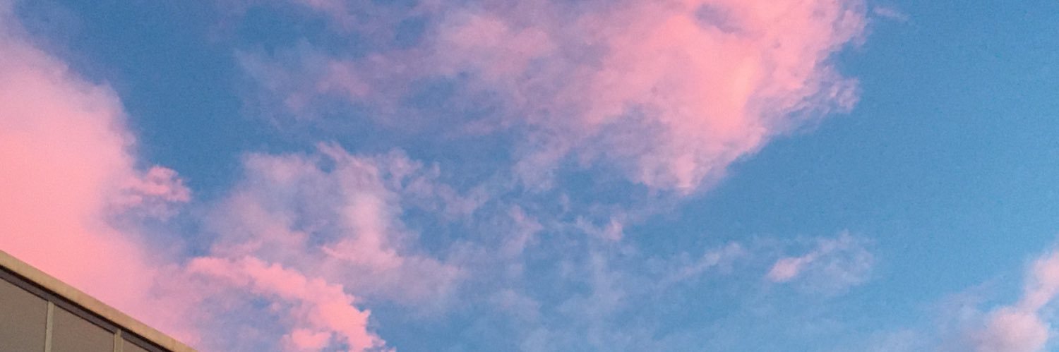 pondaisu's profile banner image