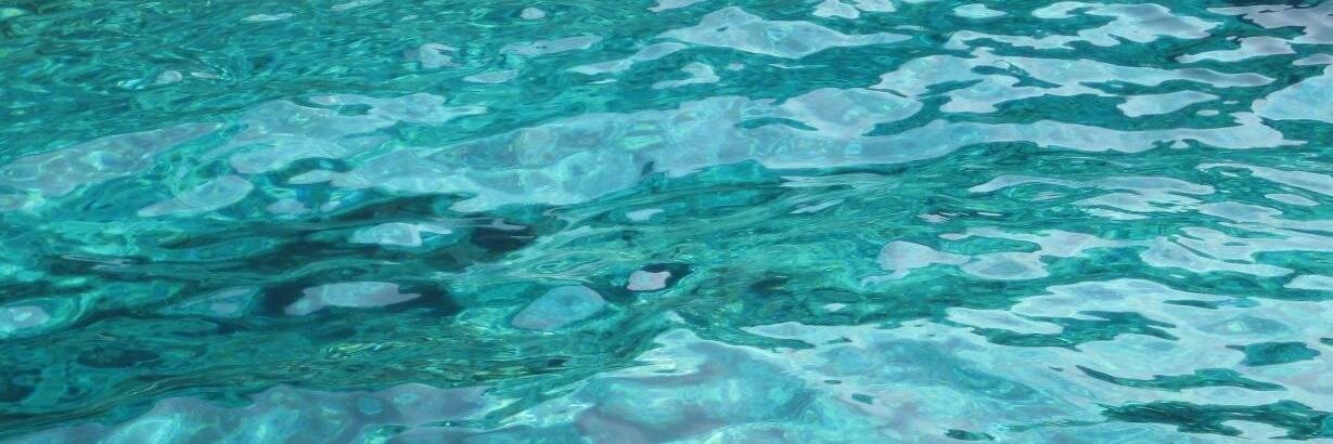 Catriona Robertson banner