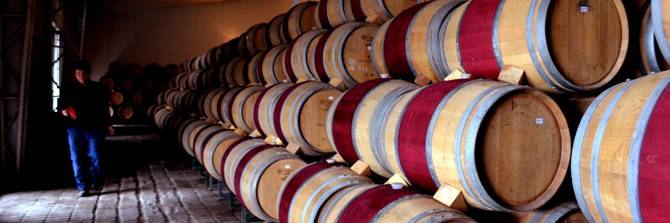 Requinguawinery's profile banner image