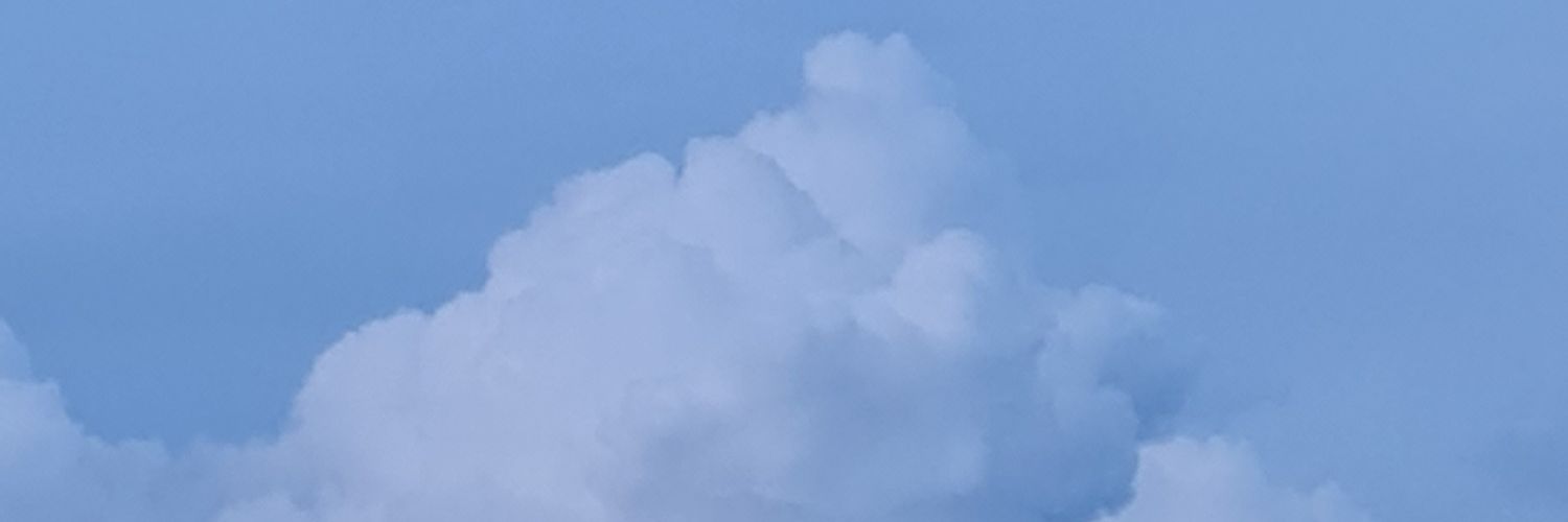 doudskie's profile banner image
