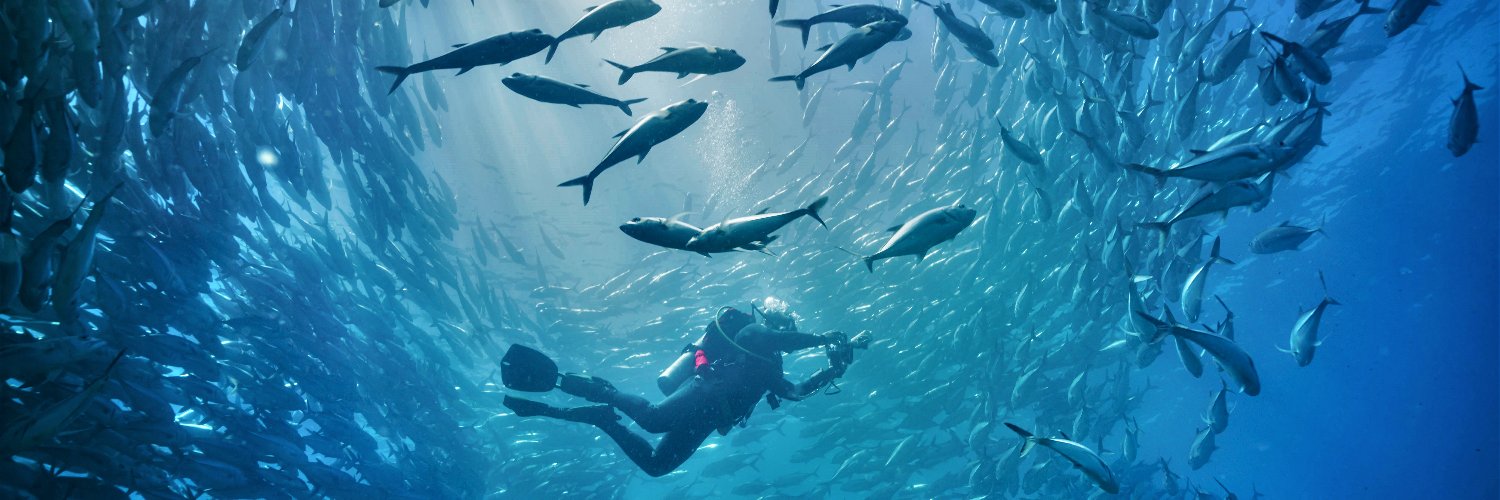 Edgardo Ochoa banner