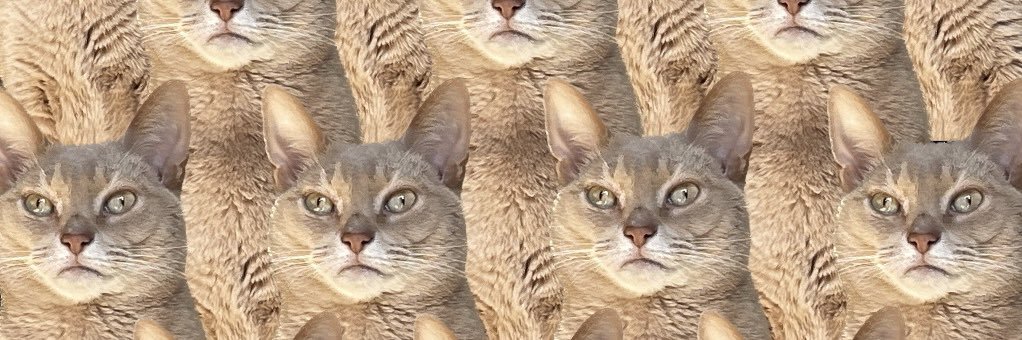 wimpan_da's profile banner image
