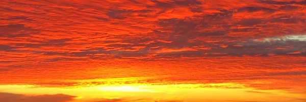 WoKaa_ Profile Banner