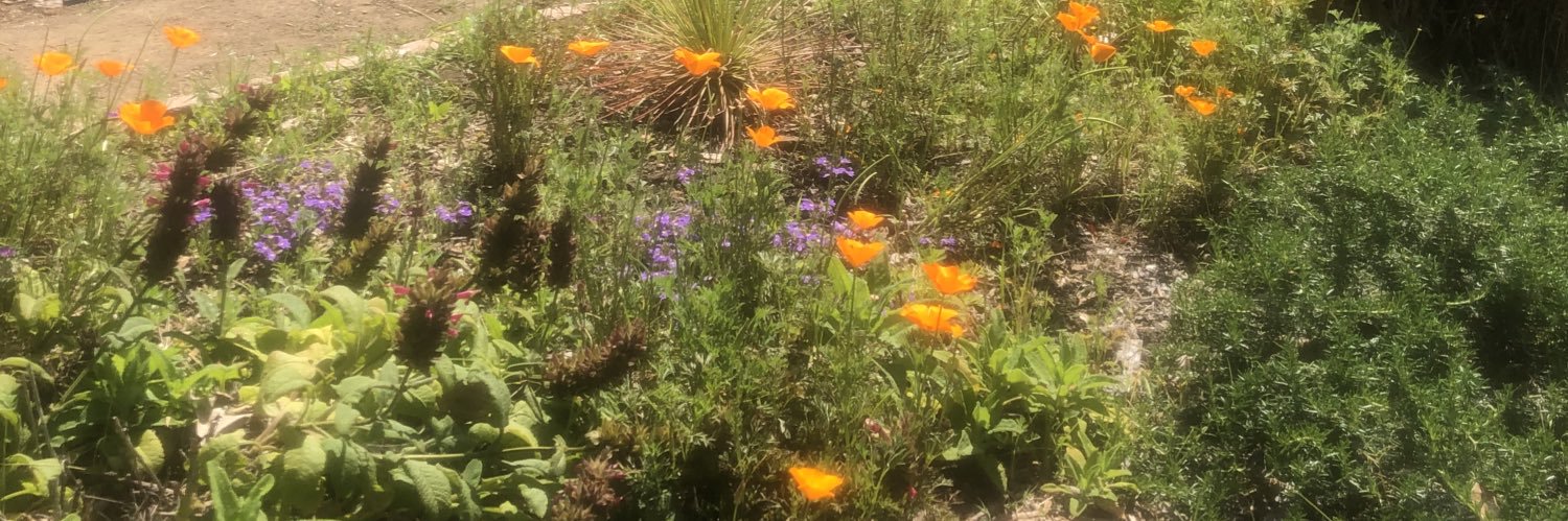 Irmina Elliott banner