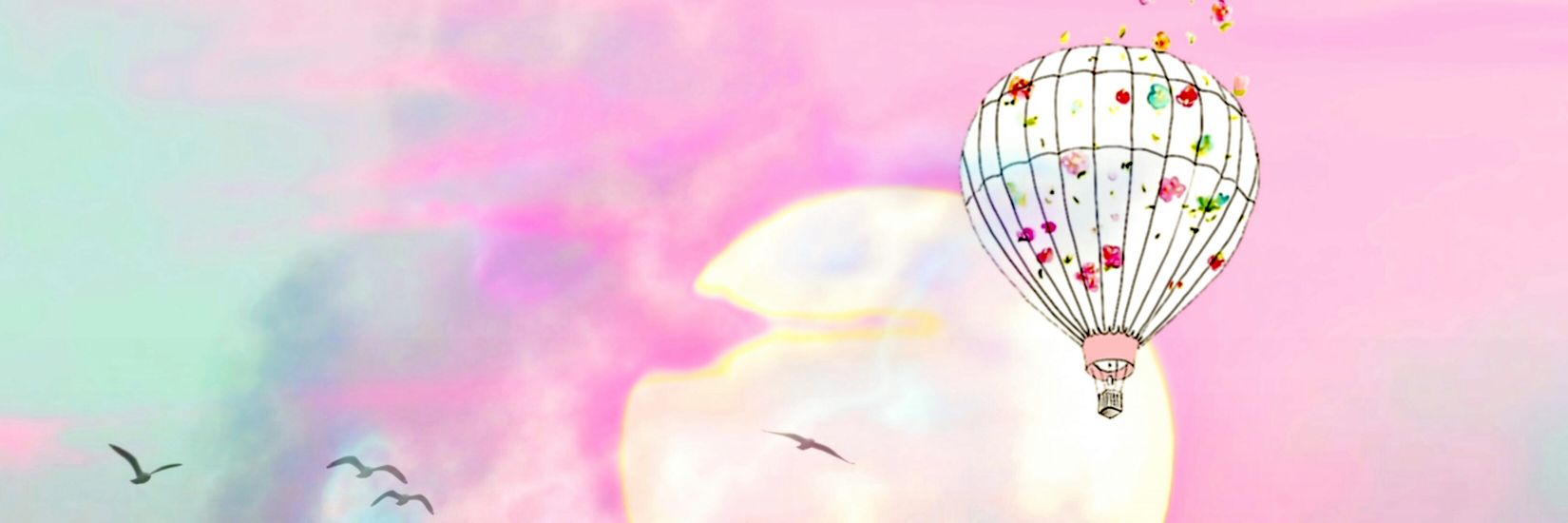 dresvarpr's profile banner image