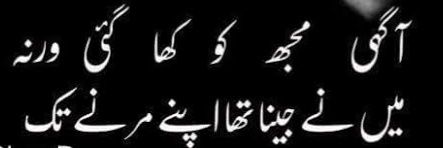 muhammad ijaz banner
