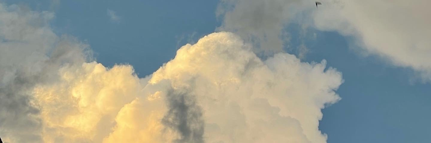 mogoss_'s profile banner image