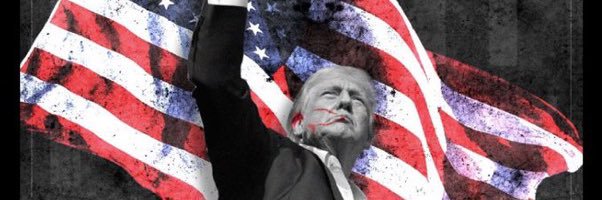 SonofLiberty357's banner