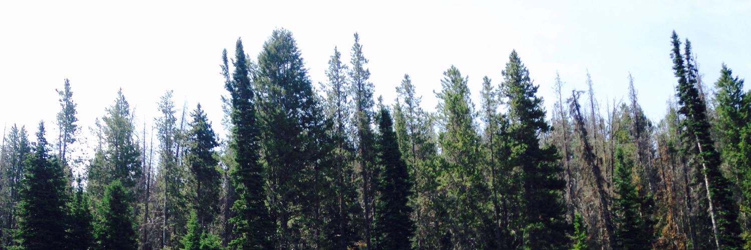 morganklink43's profile banner image
