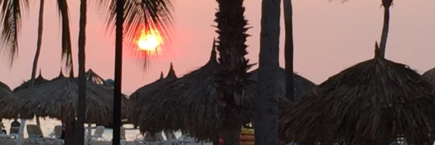 warrenmagee1's profile banner image