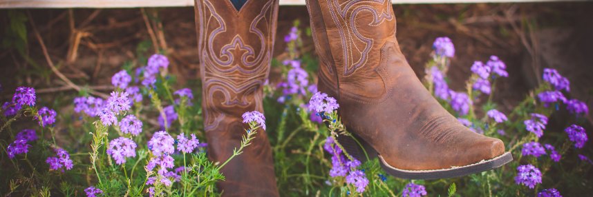 CountryChick944's profile banner image