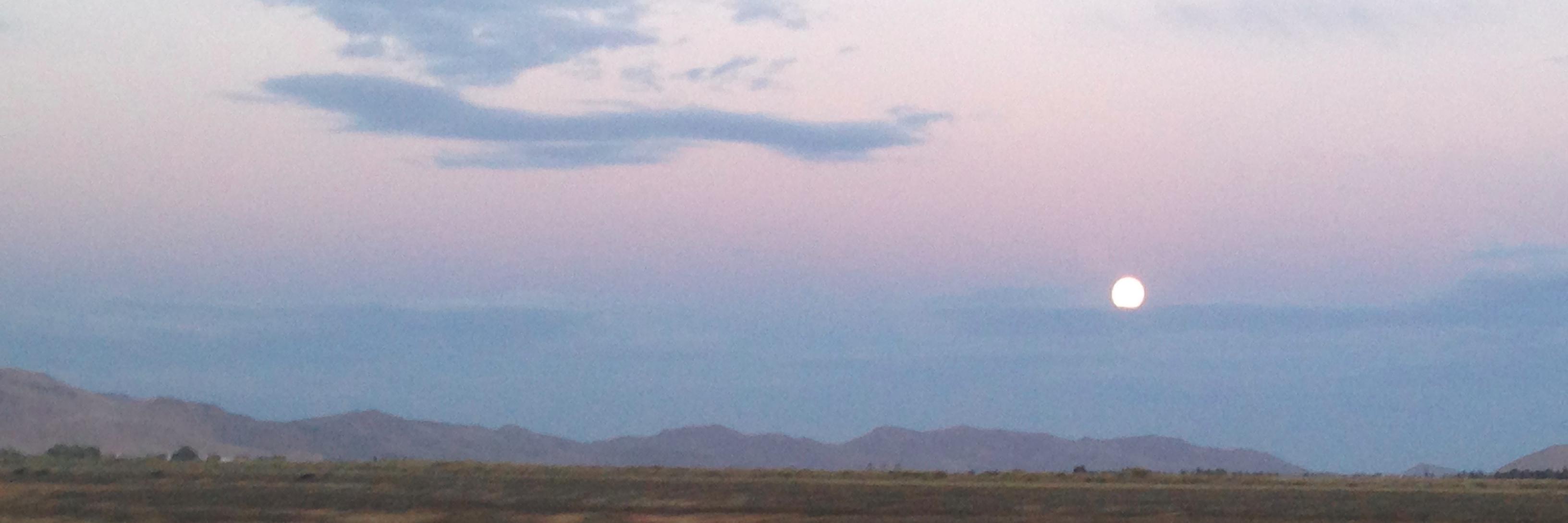 Dan Beste banner