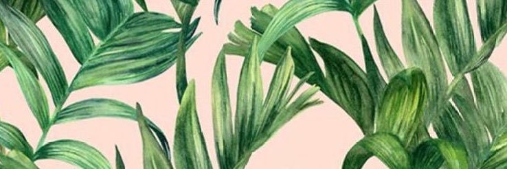 HollyLindon's profile banner image