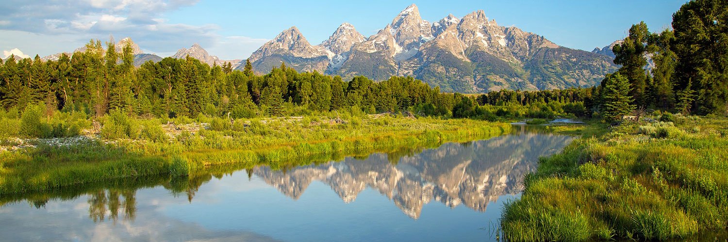 John J. Berger banner