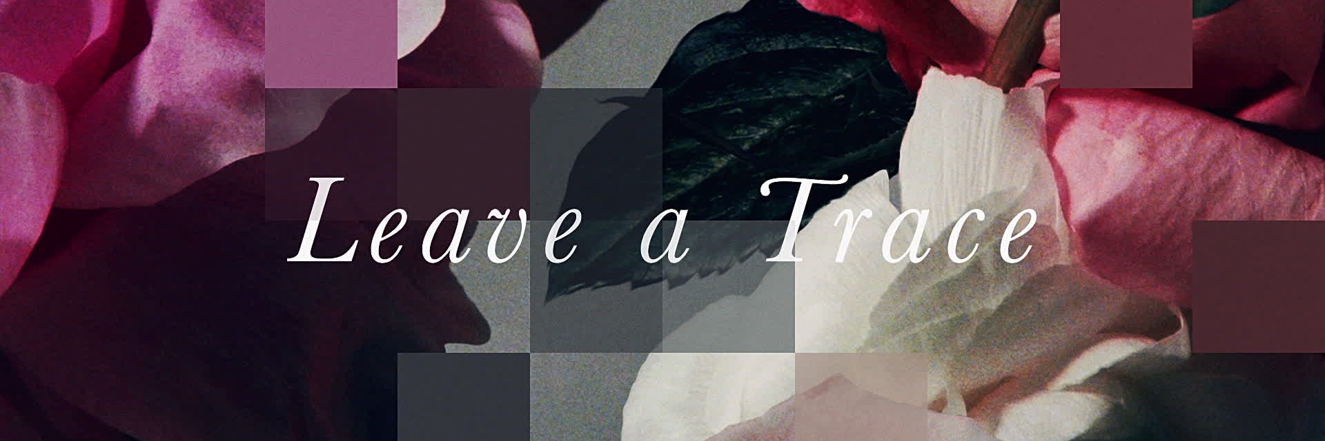 _Wacila's profile banner image
