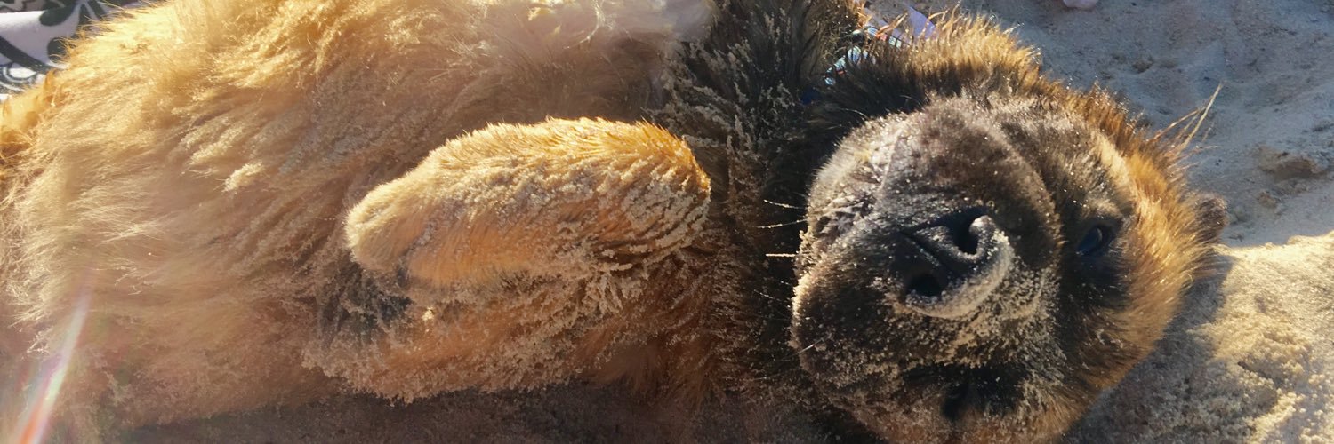 lizzykay_'s profile banner image