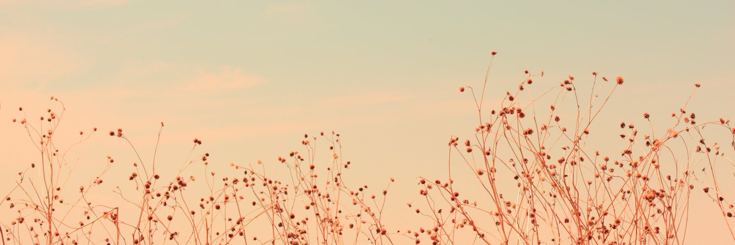 tttrryyyyy's profile banner image