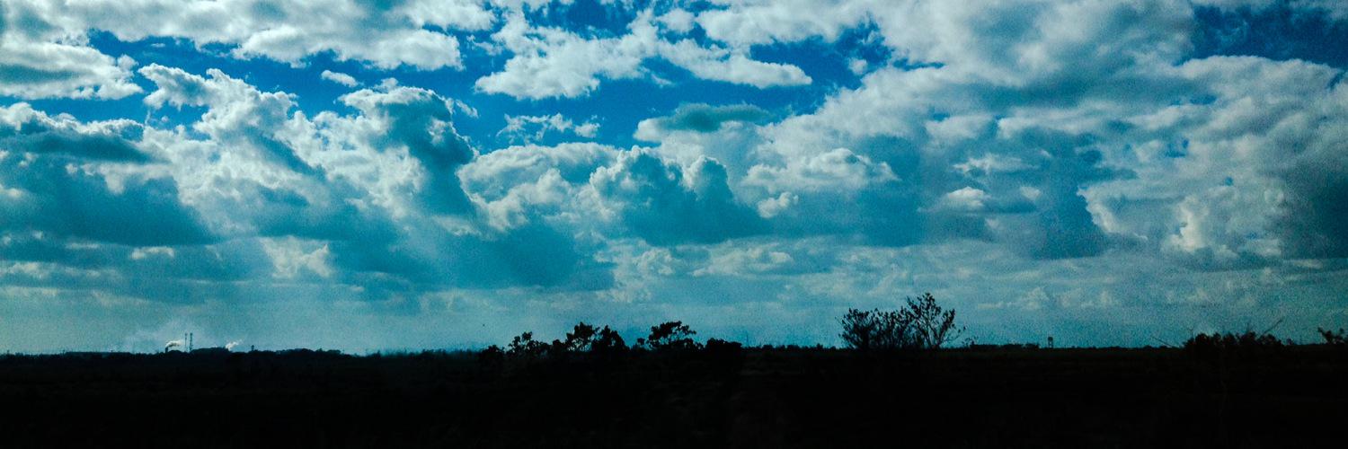 lvscrz's profile banner image