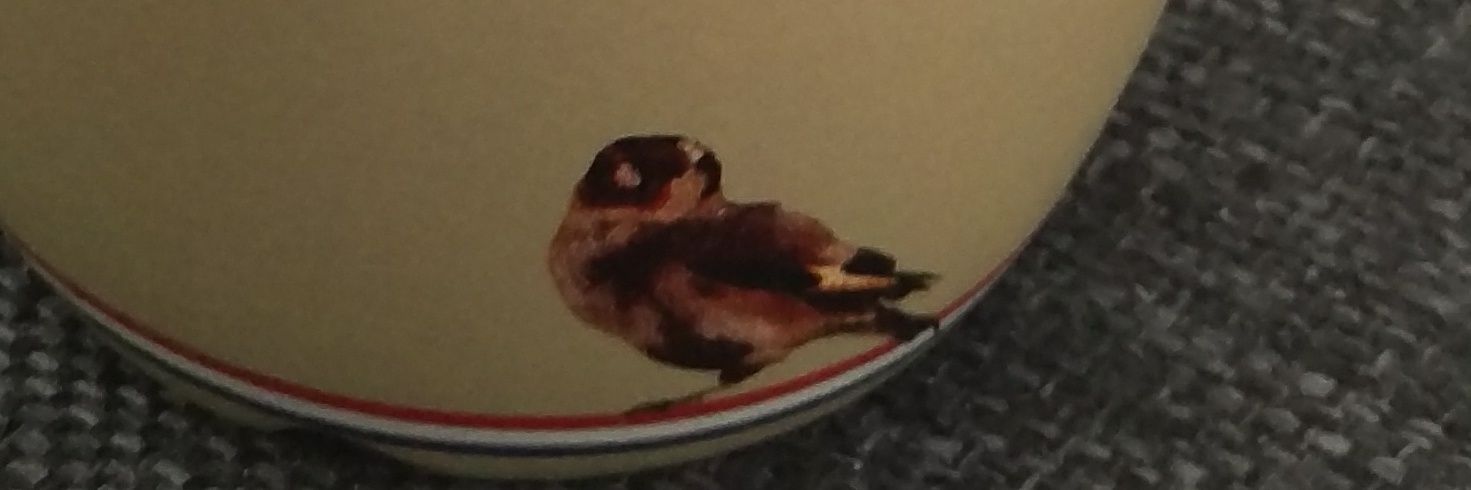 aopgelder's profile banner image