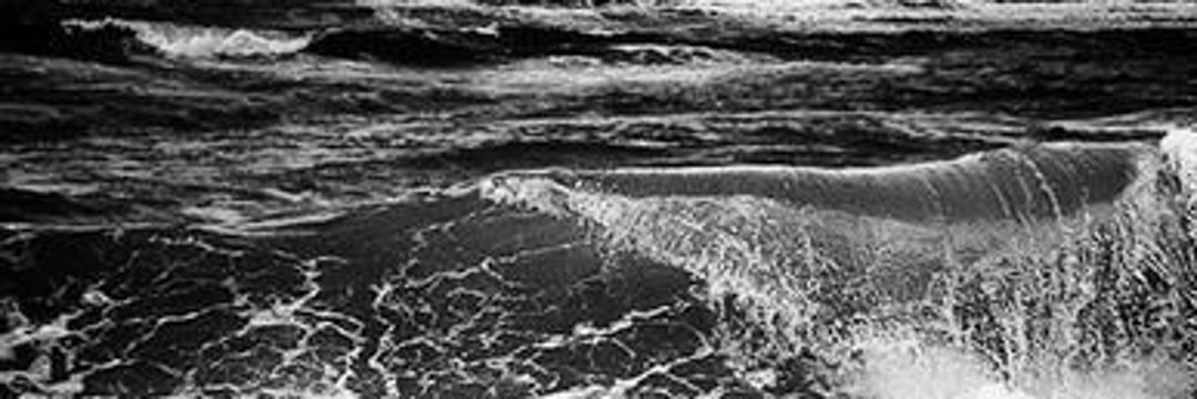 Seelenernte banner