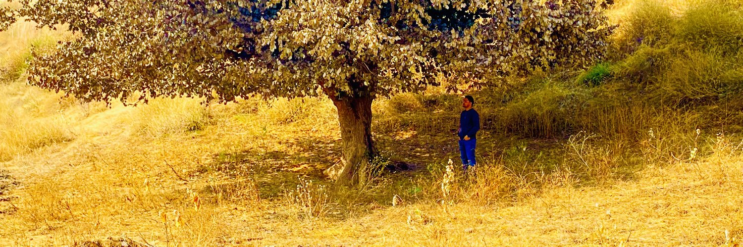 TheSpiritLens_'s profile banner image