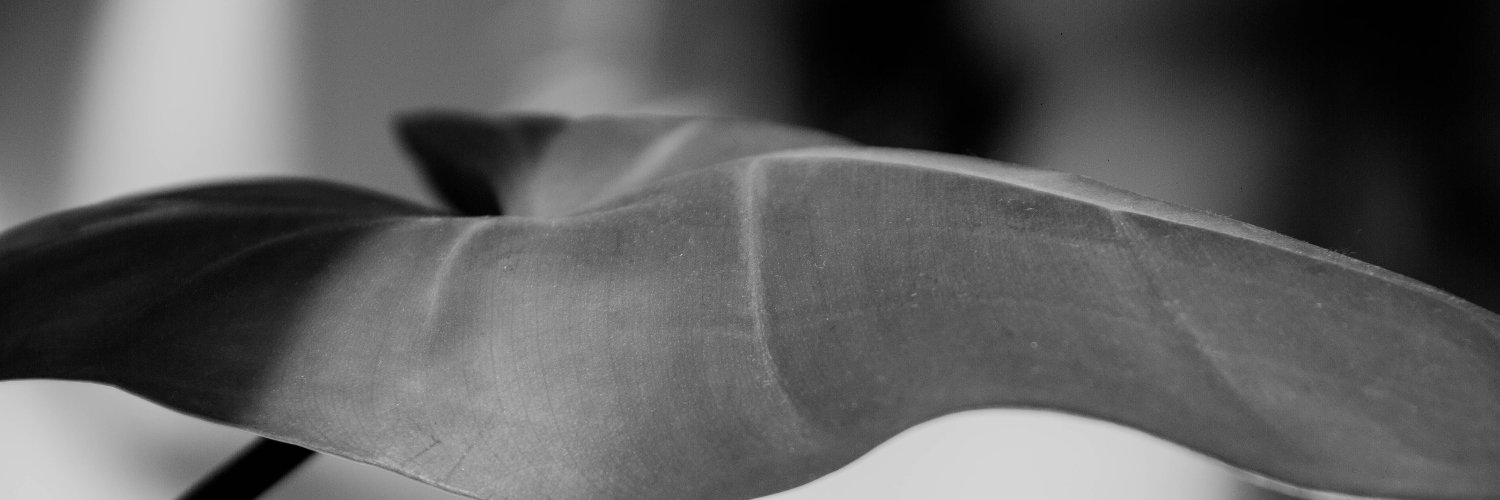 solemarsico's profile banner image