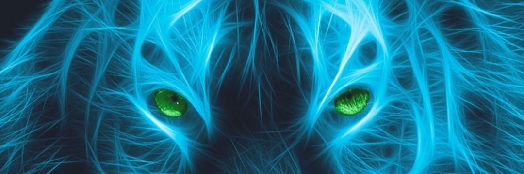 thriekomara's profile banner image